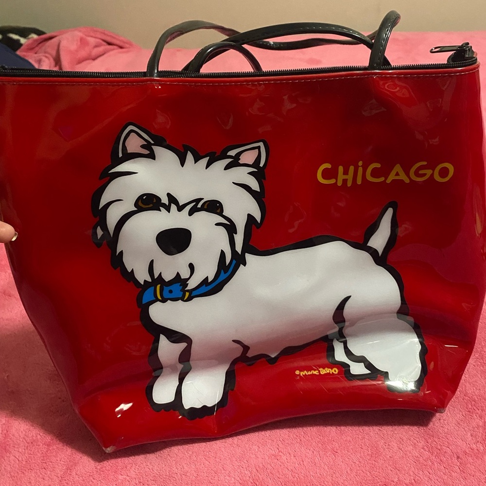Marc Tetro Chicago purse